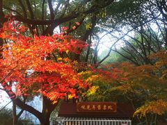 -杭州半山国家森林公园