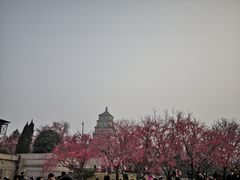 -大雁塔北广场音乐喷泉