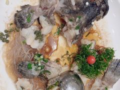 -一品粤珍轩(吴中路店)