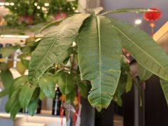 -鹿栖.精油SPA(金山世纪城店)