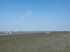 -启东黄金海滩景区