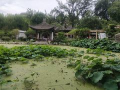 -莲湖公园