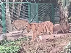 -海南热带野生动植物园