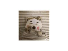-炒码先生·韩餐炸鸡披萨(西塔店)
