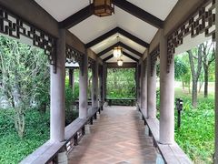 -大亚湾红树林城市湿地公园