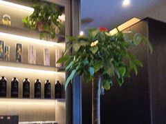 -鹿栖.精油SPA(金山世纪城店)