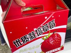 -小鱼草莓采摘园农家乐·小鱼餐厅