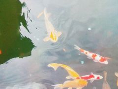 -西江印象酒楼