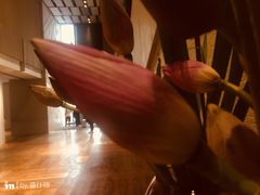 -北京三里屯CHAO酒店