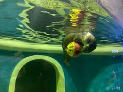 -成都浩海立方海洋公园