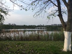 -眉山湿地公园(东坡区)