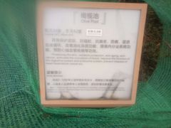 -凤翔首邑温泉度假村