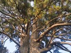 -终南山南五台景区