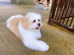 -TrueLove @ Neverland (Husky Cafe)