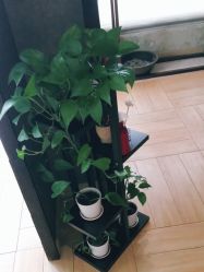 -香秀空间科技抗衰·美容中心