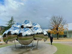 -金泽21世纪美术馆