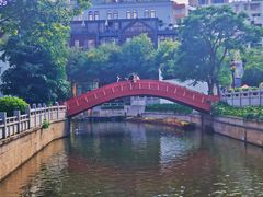 -清平路水族市场