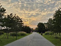 -汉长安城未央宫国家考古遗址公园