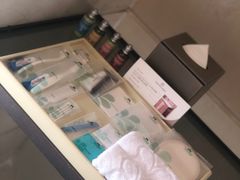 -西贡日航酒店