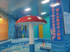 -楠木种子游泳馆(李沧万达店)