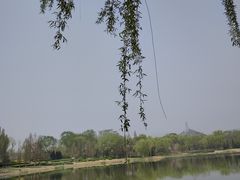 -北坞公园
