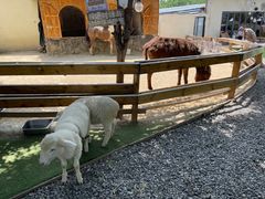 -HERRE·FARM 赫尔露营农场·团建聚会包场