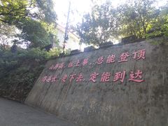 -广州市帽峰山景区