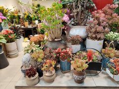 -双季花艺园艺市场(浦东店)