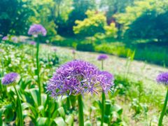 -花开海上生态园