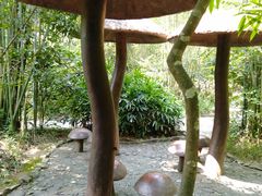 -大屏嶂森林公园