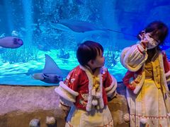 -沈阳海洋探索中心