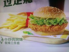 -麦当劳(红旗路店)