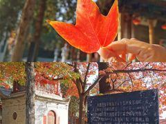 -兴教寺