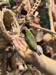 -Zoolung Zoolung动物主题公园(海信广场店)