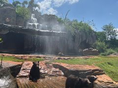 -海南热带野生动植物园