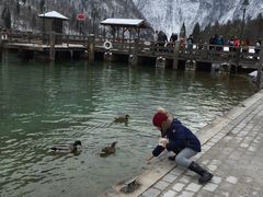 -柯尼希湖