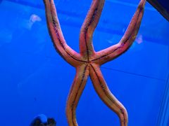 -海合安武汉极地海洋公园