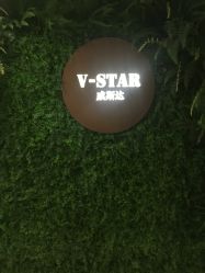 -V-STAR威斯达•高级私人定制