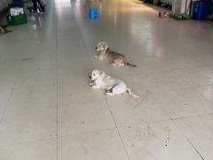 -翠庭园平价蔬果超市(翠庭园店)