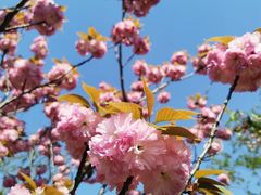 -昆山城市生态森林公园