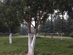 -后襄河公园
