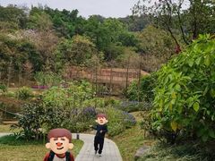 -云溪植物园
