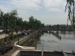 -同銮特种养殖场·龙虾垂钓