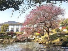 -中国茶叶博物馆(双峰馆区)