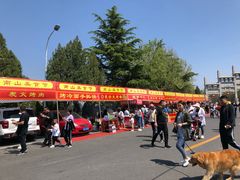 -龙口南山旅游景区