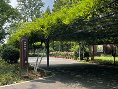 -东平国家森林公园