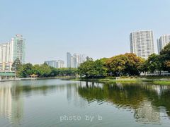 -荔湾湖公园
