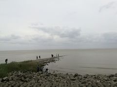 -瀛洲公园
