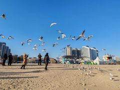 -老虎石海上公园