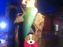 -邯郸海洋世界
